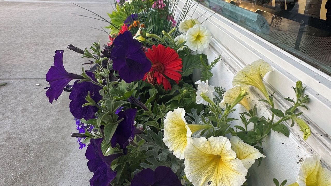 Photo of Outdoor in Suttons Bay