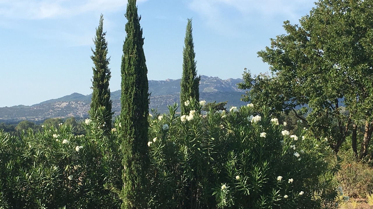 Photo of Outdoor in Loriol-du-Comtat