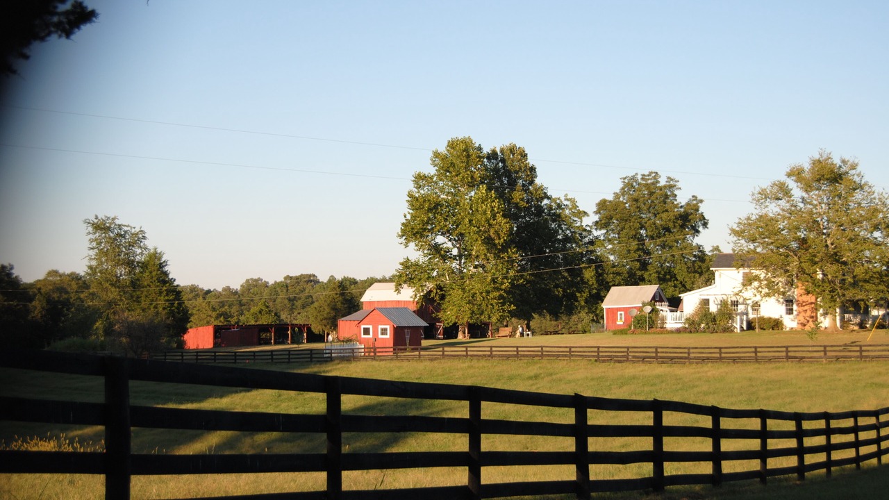 Photo of Others in Ridge