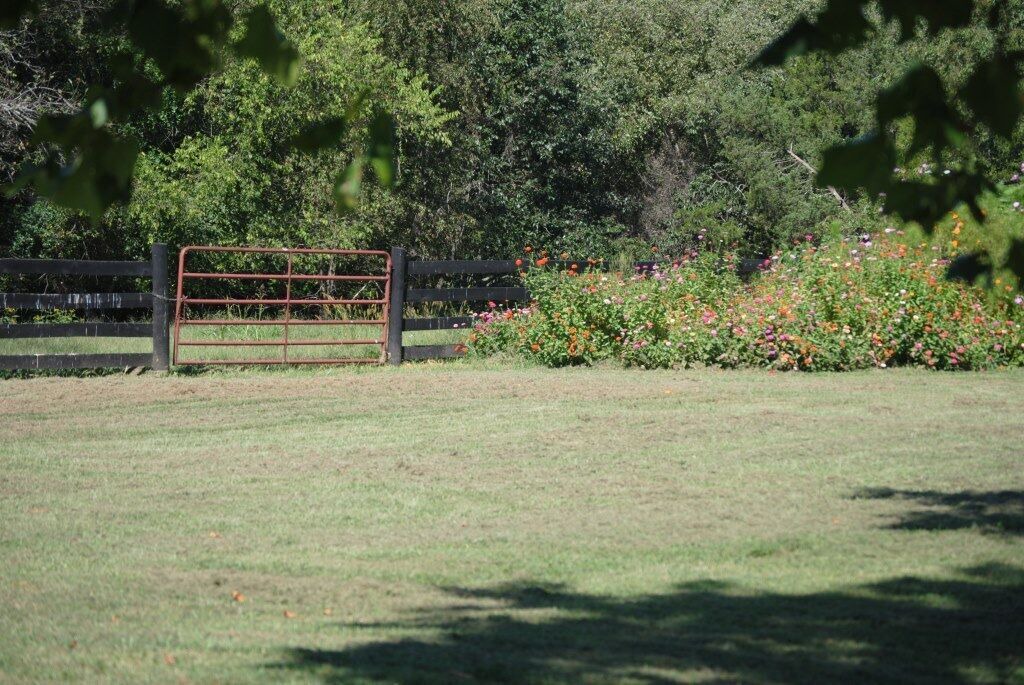 Photo of Others in Ridge