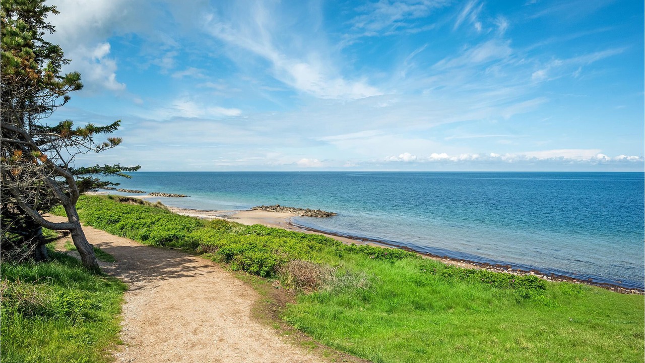 Photo of Others in Smidstrup Strand