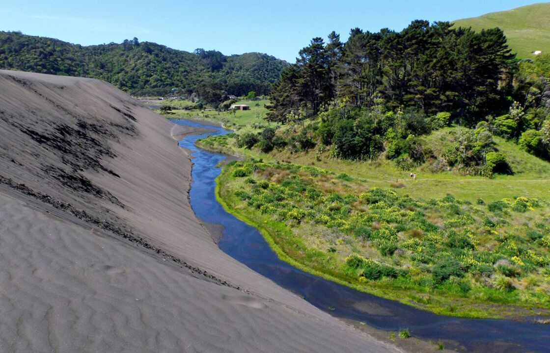 Photo of Others in Bethells Beach