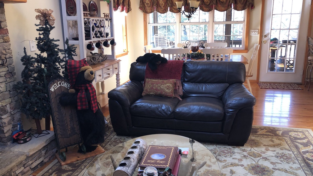 Photo of Livingroom in Helen