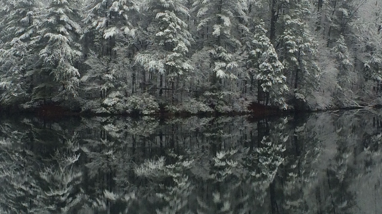 Photo of Outdoor in Helen