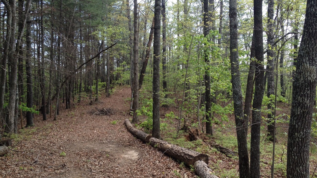 Photo of Others in Murphy