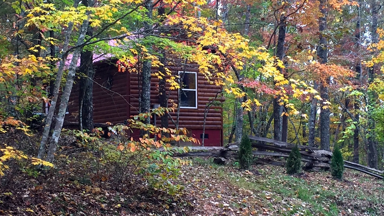 Photo of Outdoor in Murphy