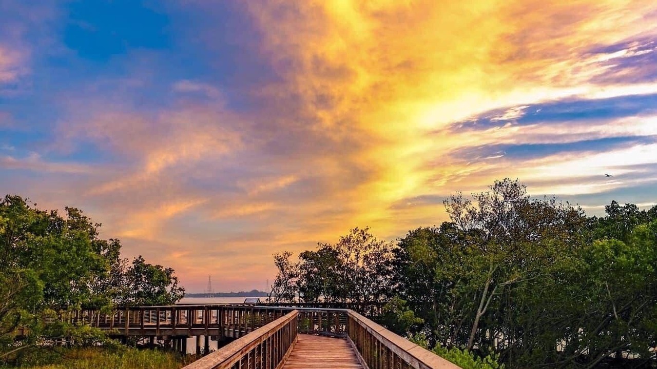 Photo of Others in Safety Harbor