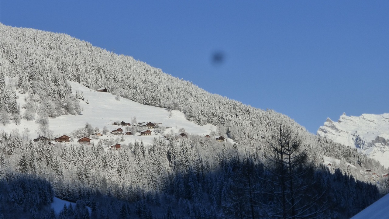 Photo of Others in Les Contamines-Montjoie