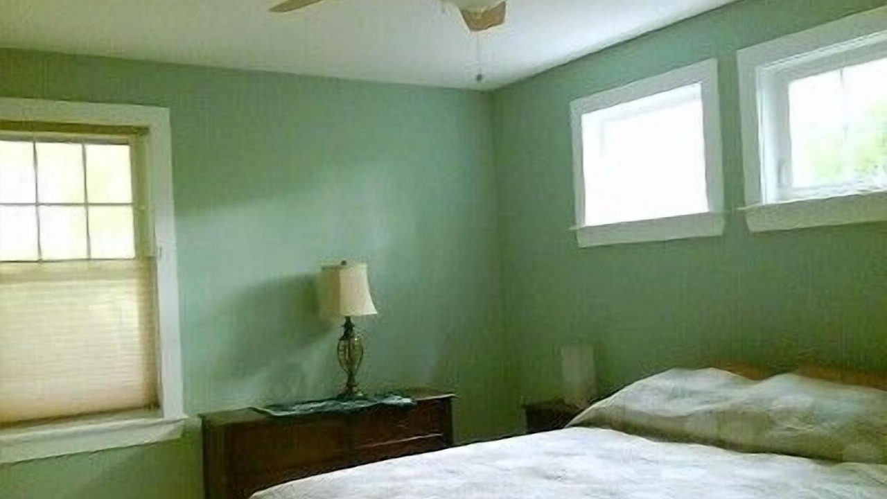 Photo of Others in Cedar Bushes