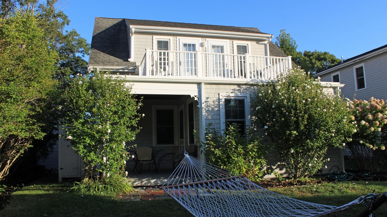 Photo of Outdoor in Cedar Bushes