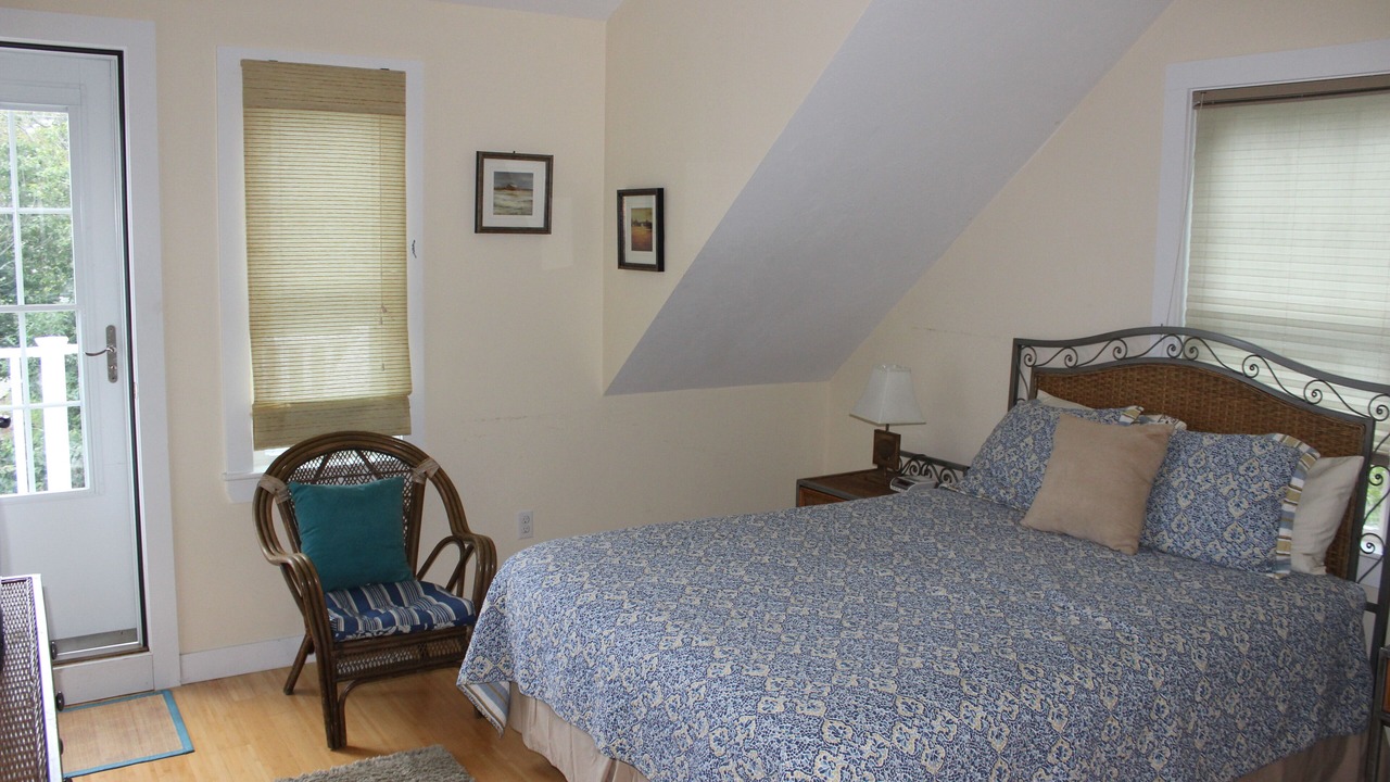 Photo of Others in Cedar Bushes