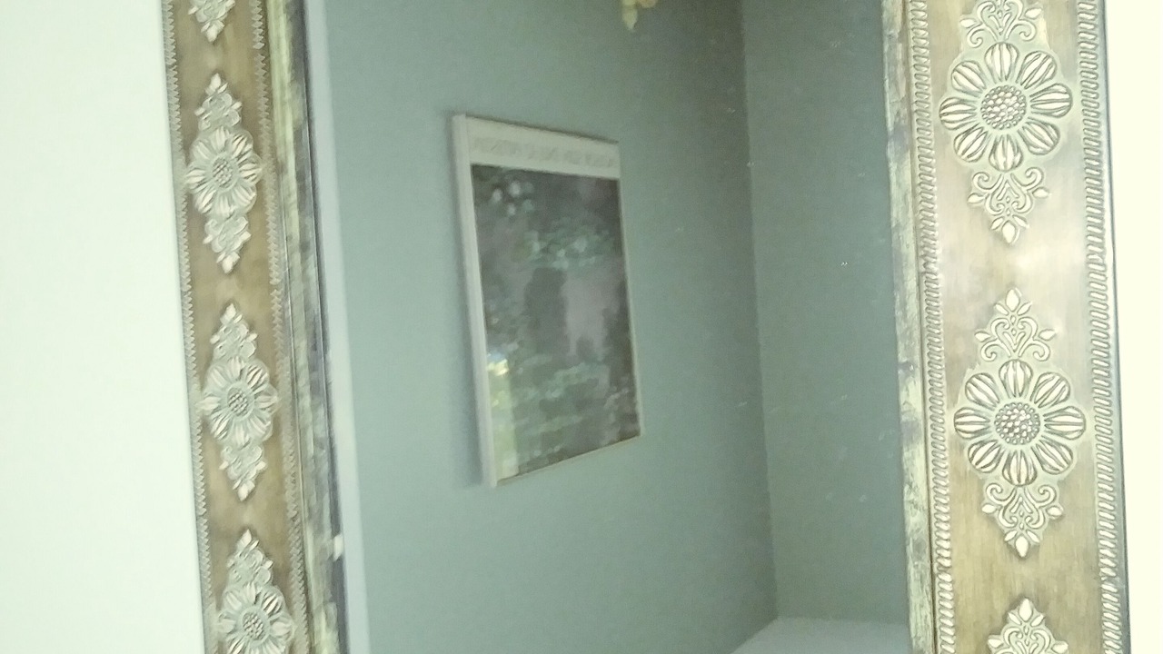 Photo of Others in Cedar Bushes