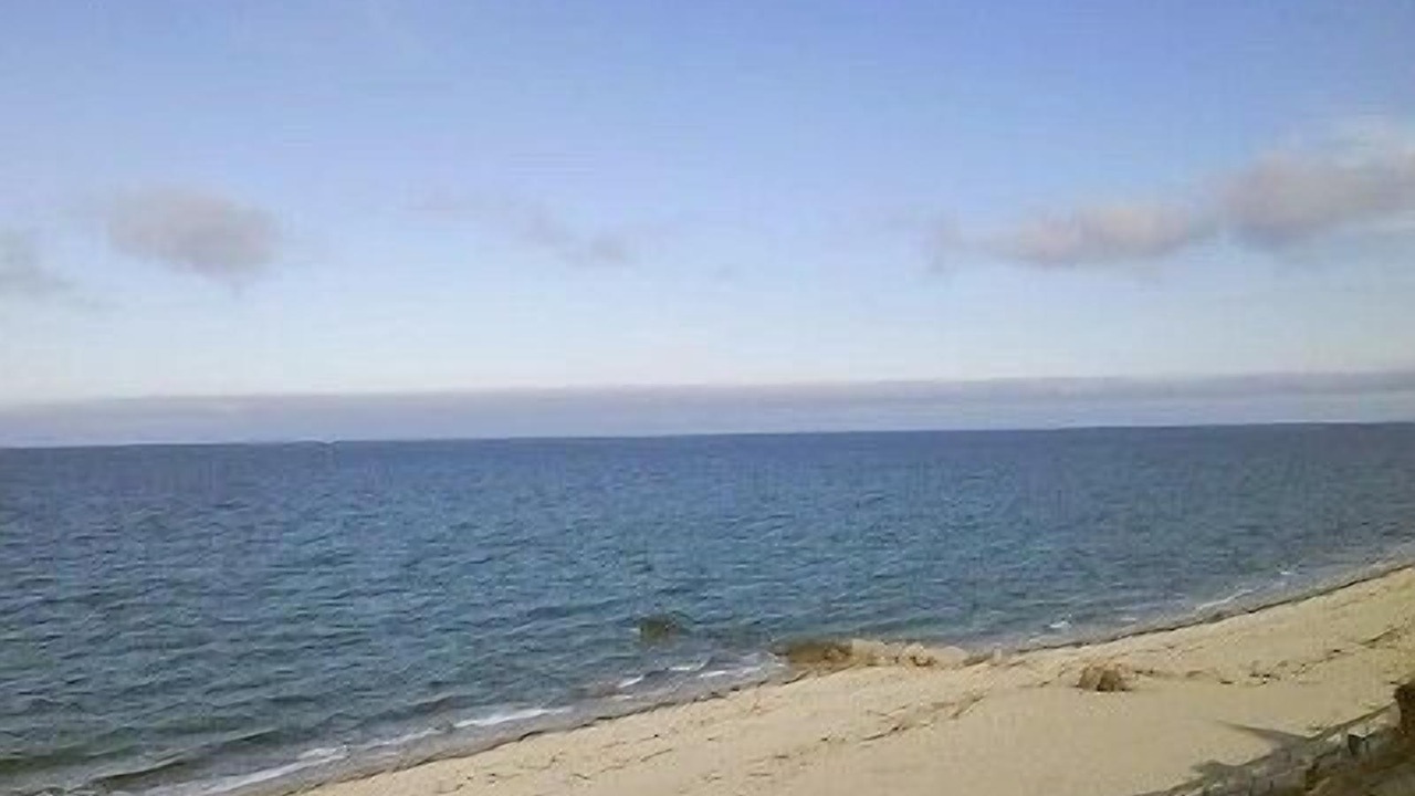 Photo of Others in Cedar Bushes