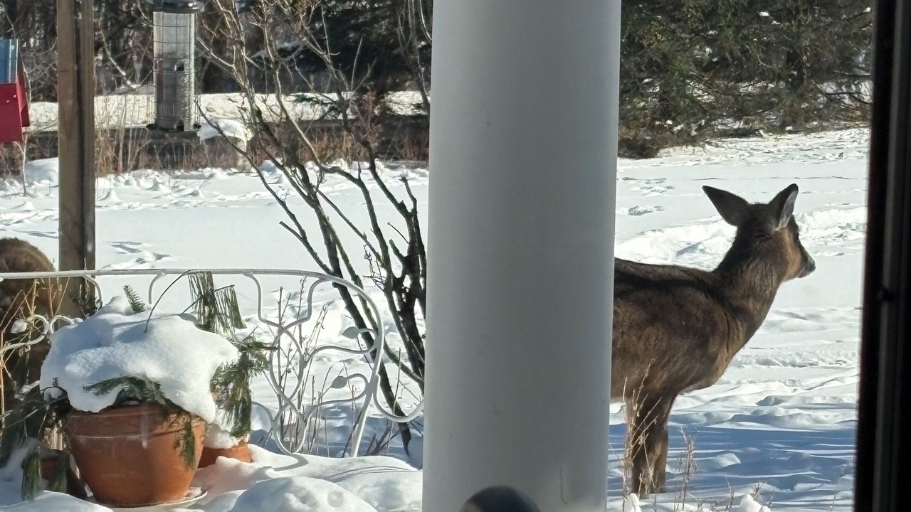Photo of Others in Fairfax