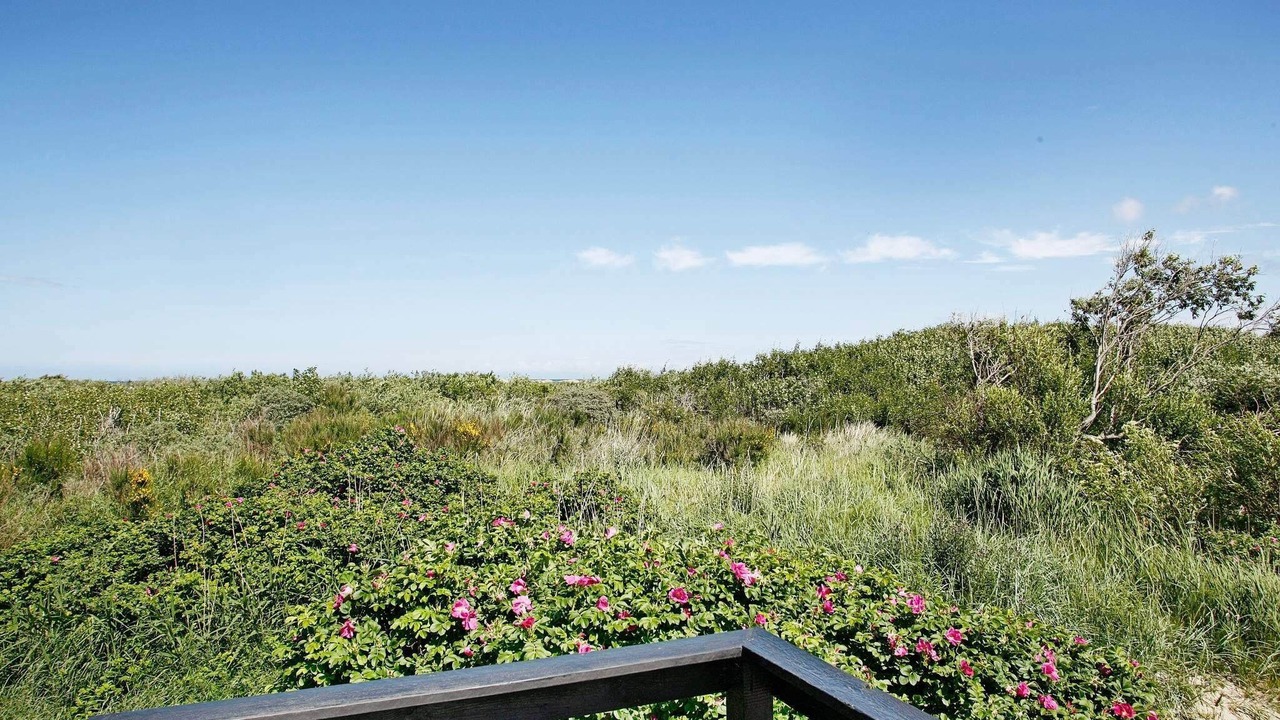 Photo of Outdoor in Skagen