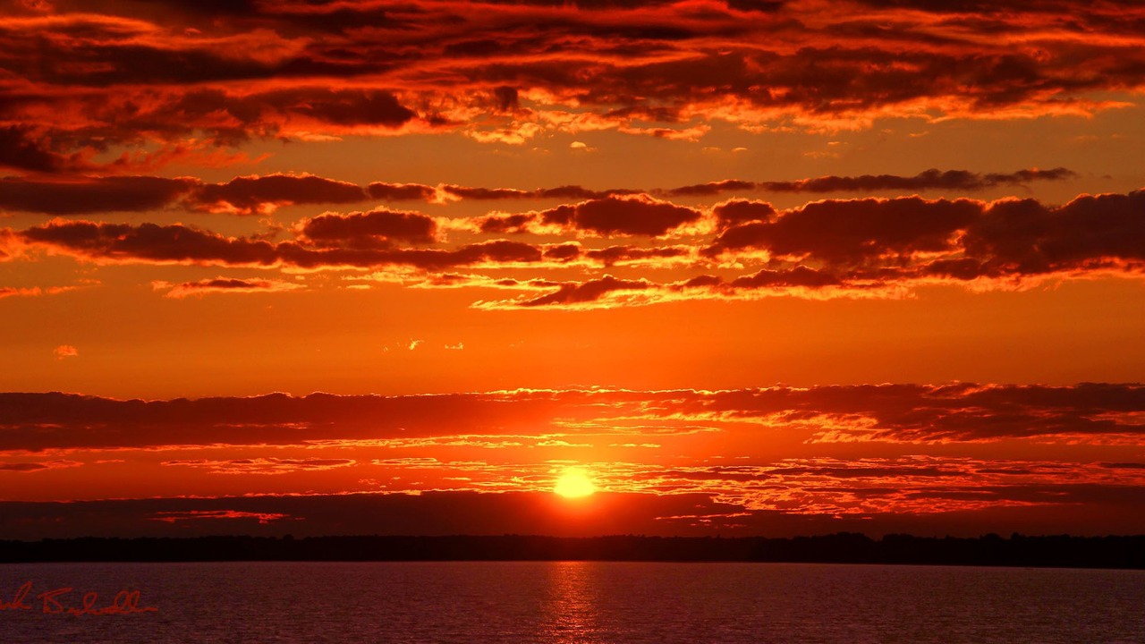 Photo of Others in Swanton