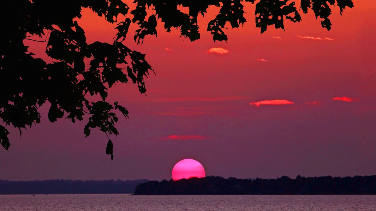 Photo of Others in Swanton