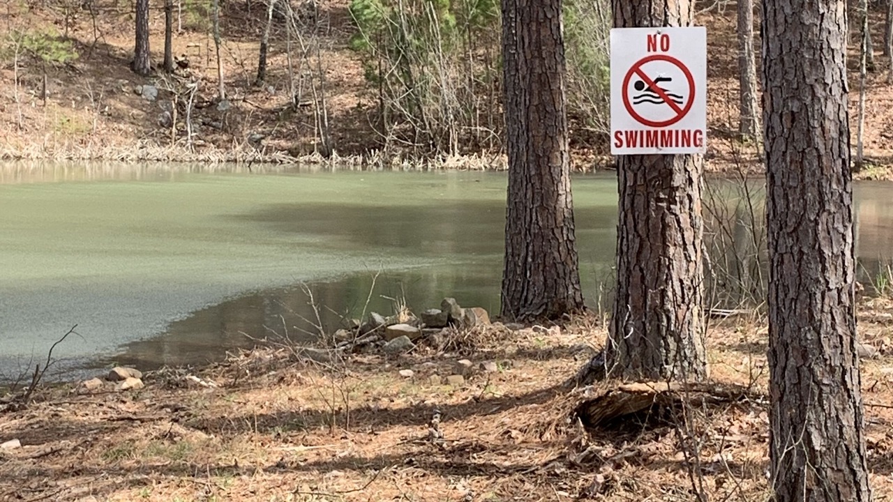 Photo of Others in Heavener