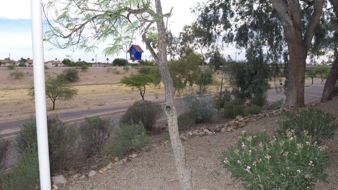 Photo of Others in Glendale
