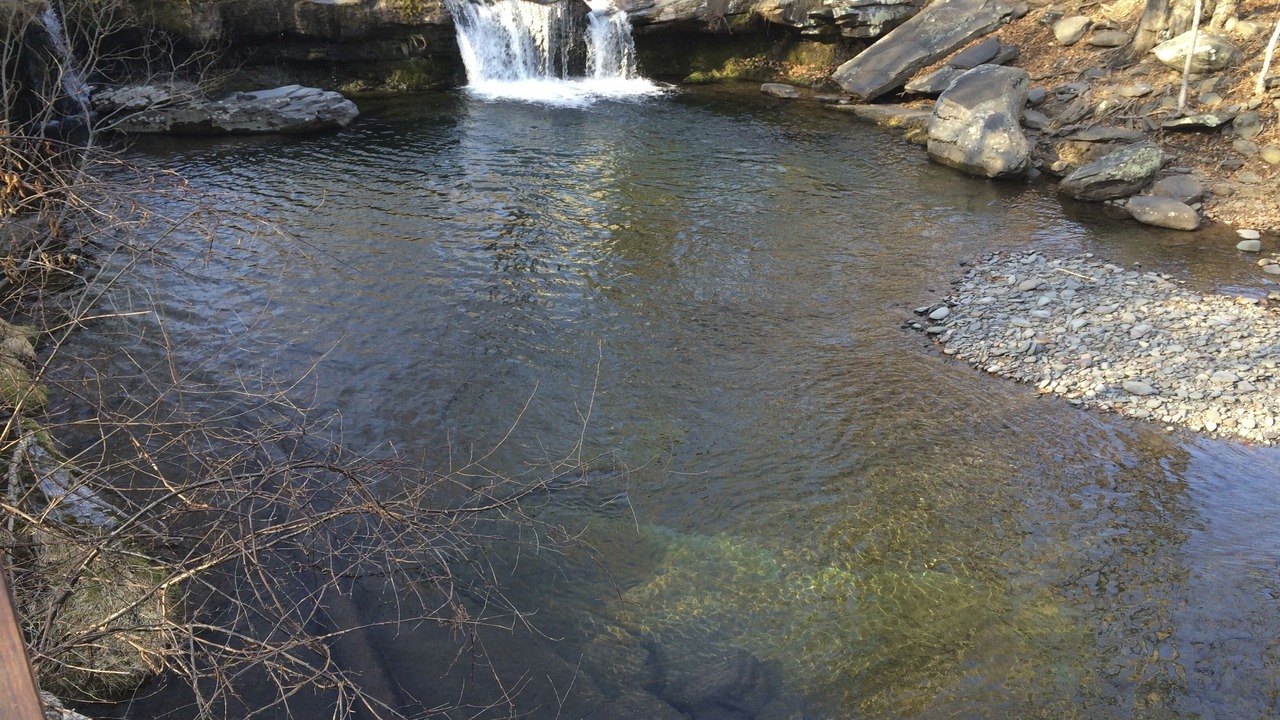 Photo of Outdoor in West Saugerties