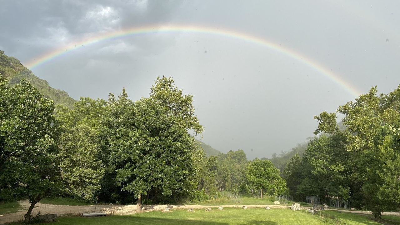 Photo of Others in Leakey