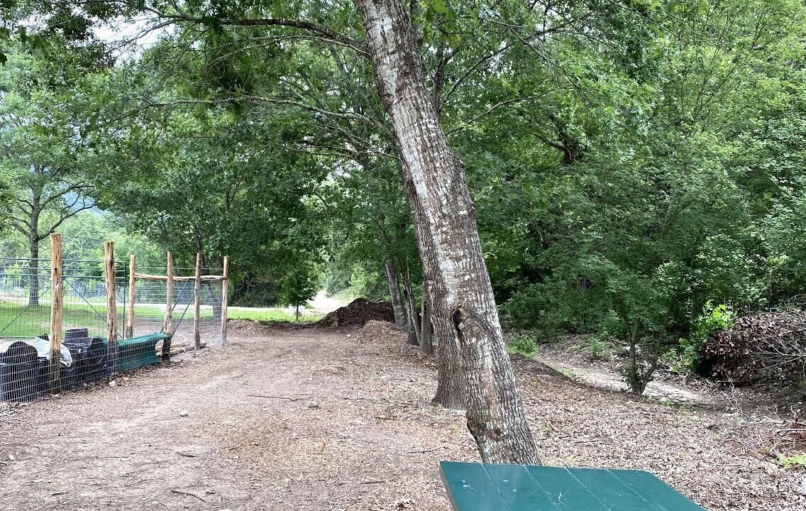 Photo of Outdoor in Leakey