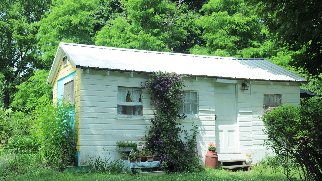 Photo of Outdoor in Hector