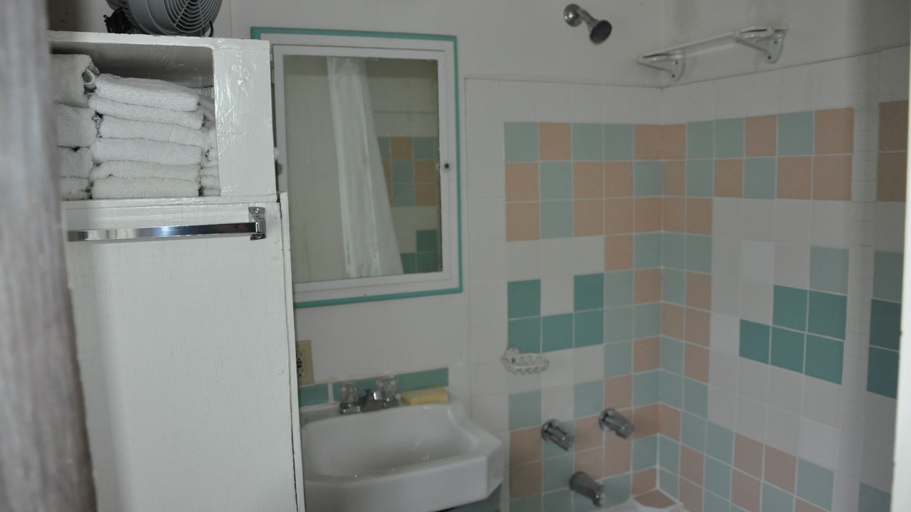 Photo of Bathroom in Hector