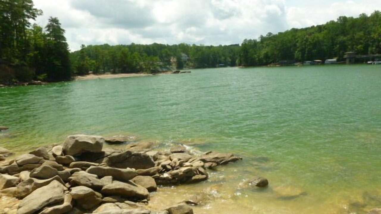 Photo of Outdoor in Flowery Branch