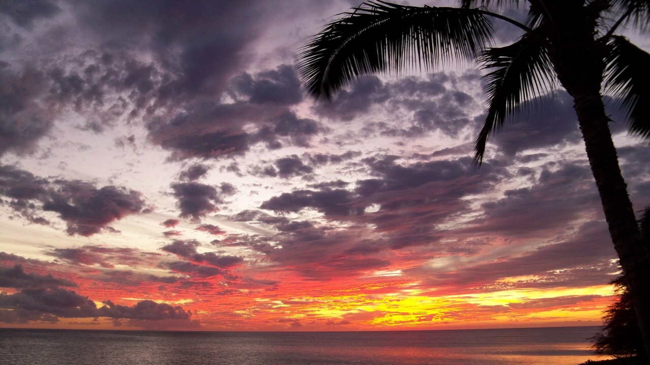 Photo of Others in Kaunakakai