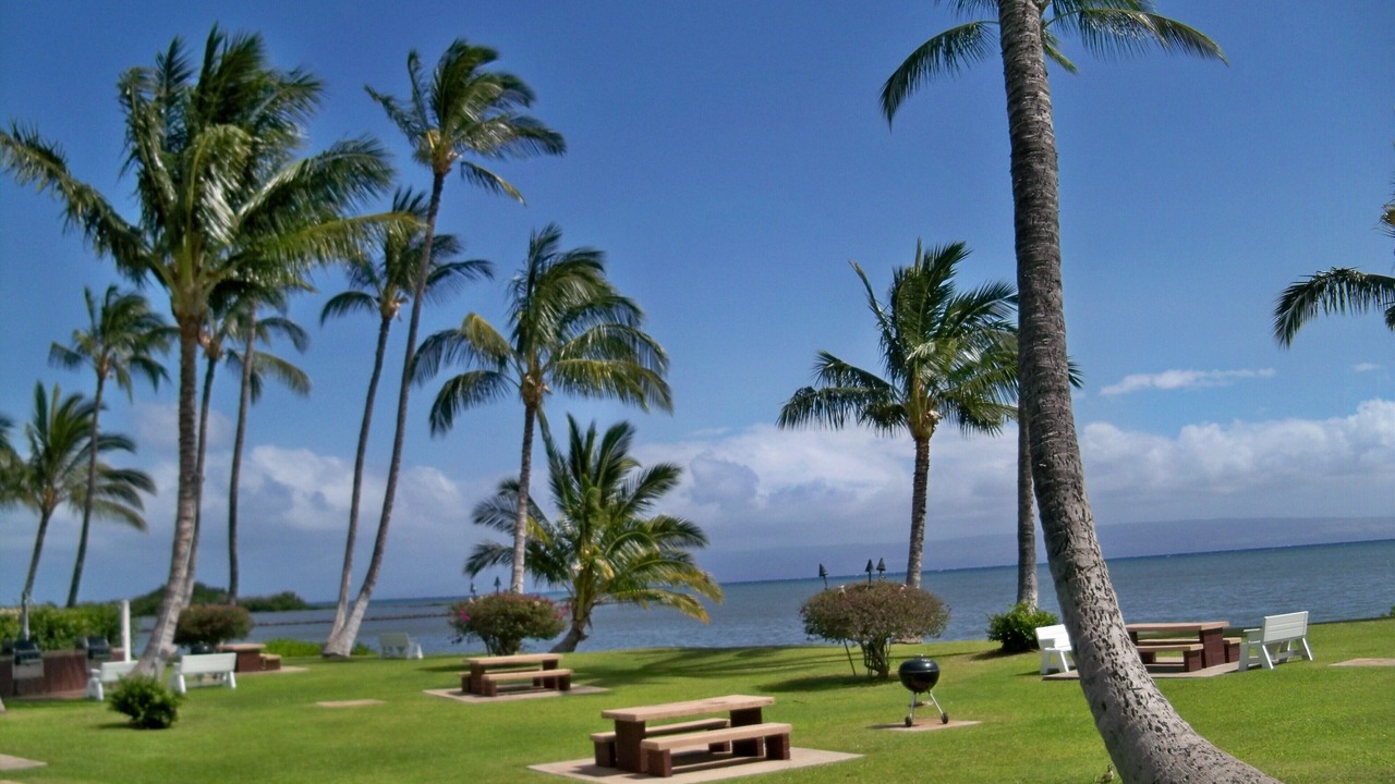 Photo of Others in Kaunakakai