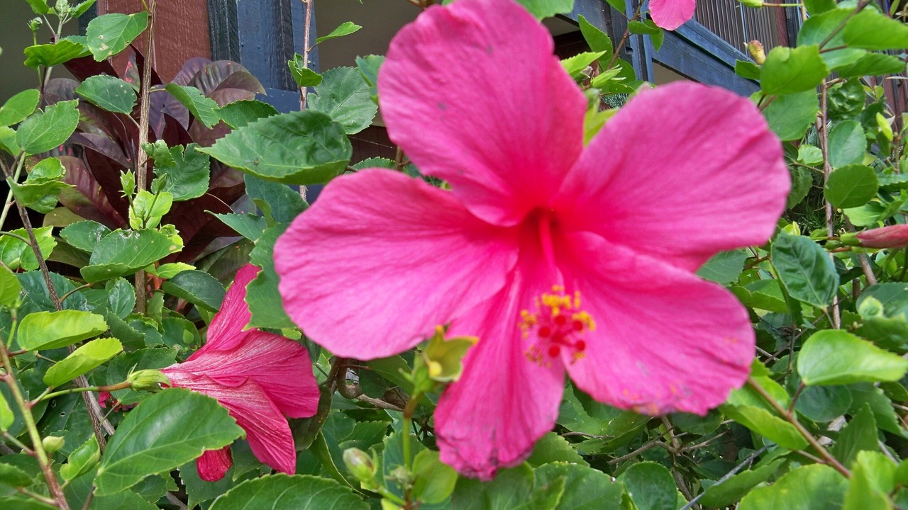 Photo of Others in Kaunakakai