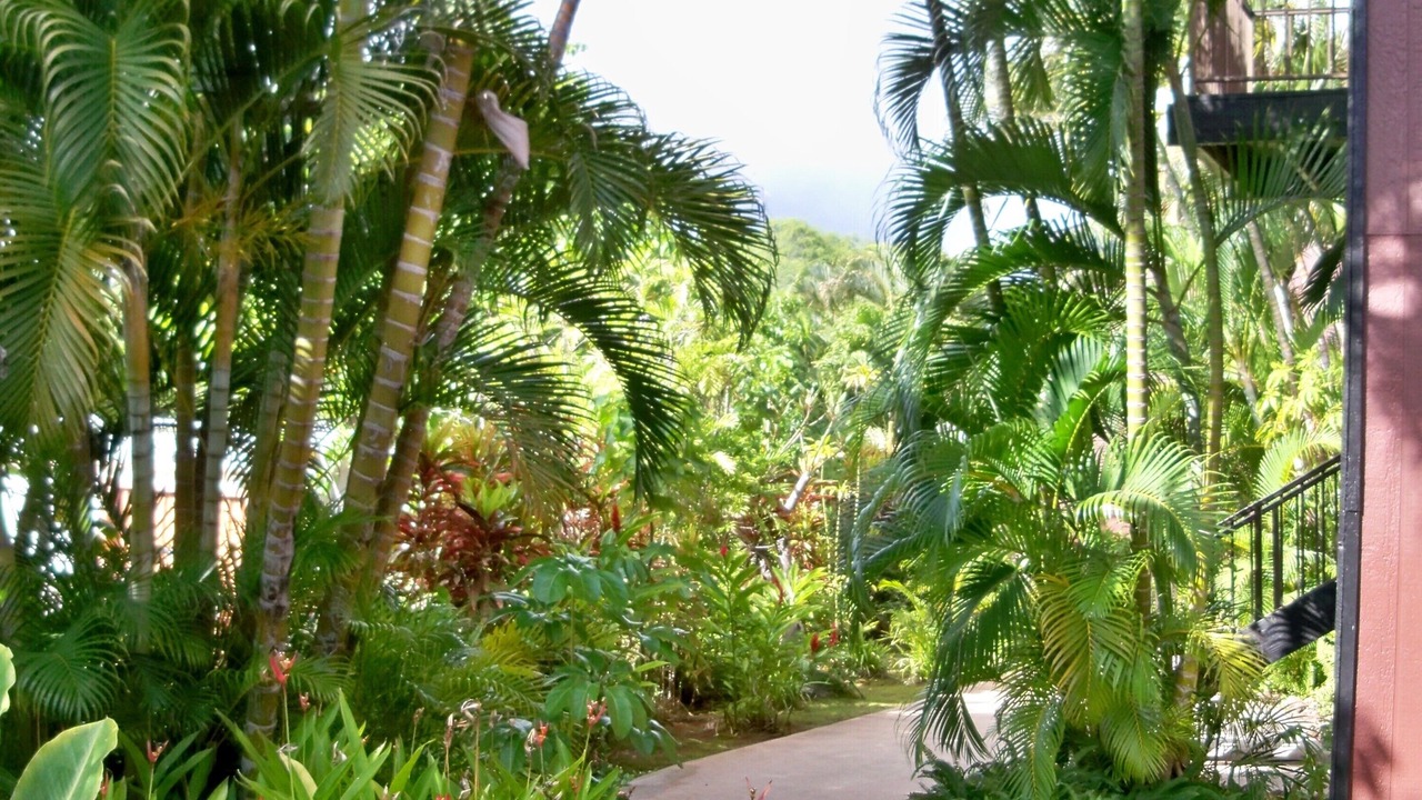 Photo of Others in Kaunakakai