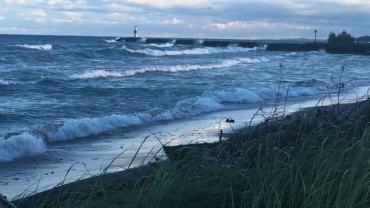 Photo of Others in Port Ontario