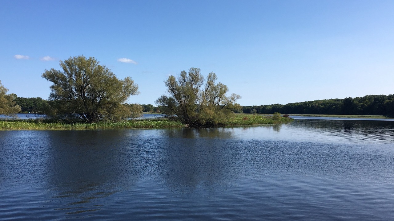 Photo of Others in Port Ontario