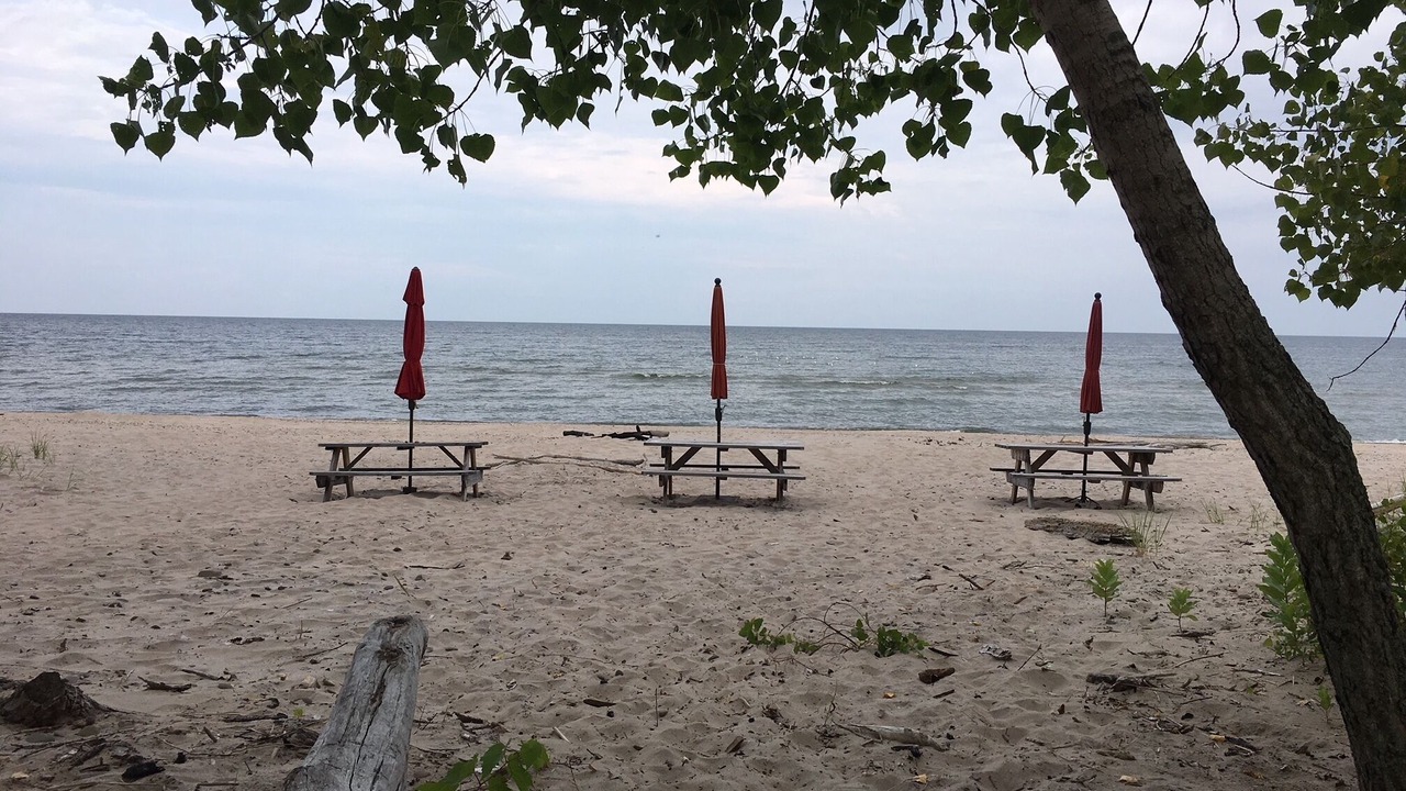 Photo of Others in Port Ontario