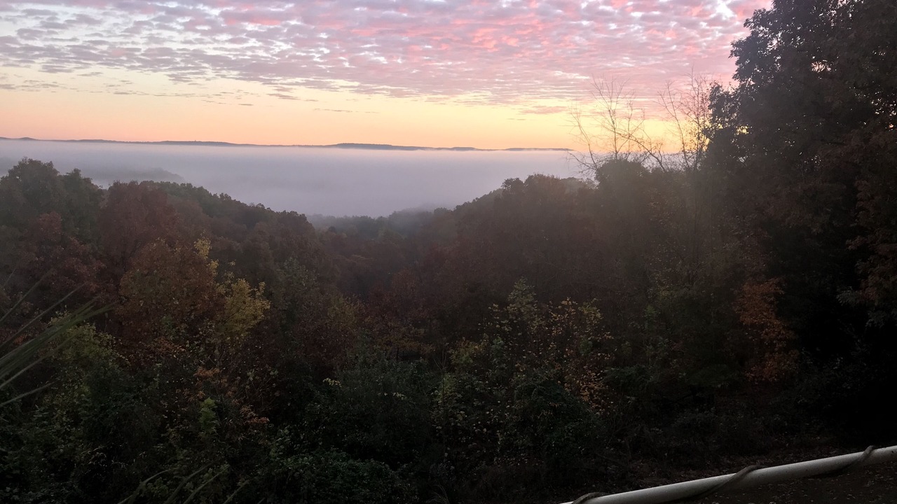 Photo of Others in Prairie Creek