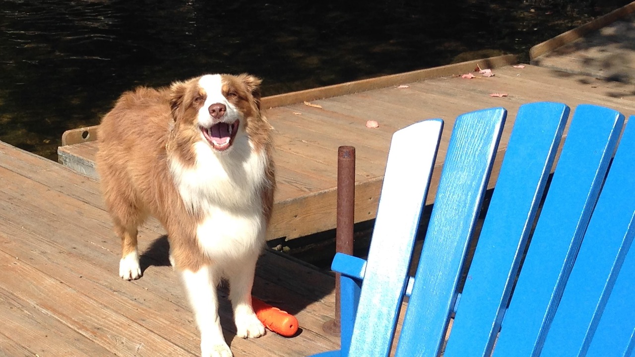 Photo of Others in Mount Holly