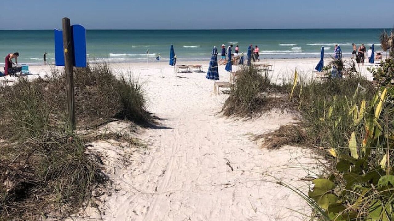 Photo of Others in Siesta Key