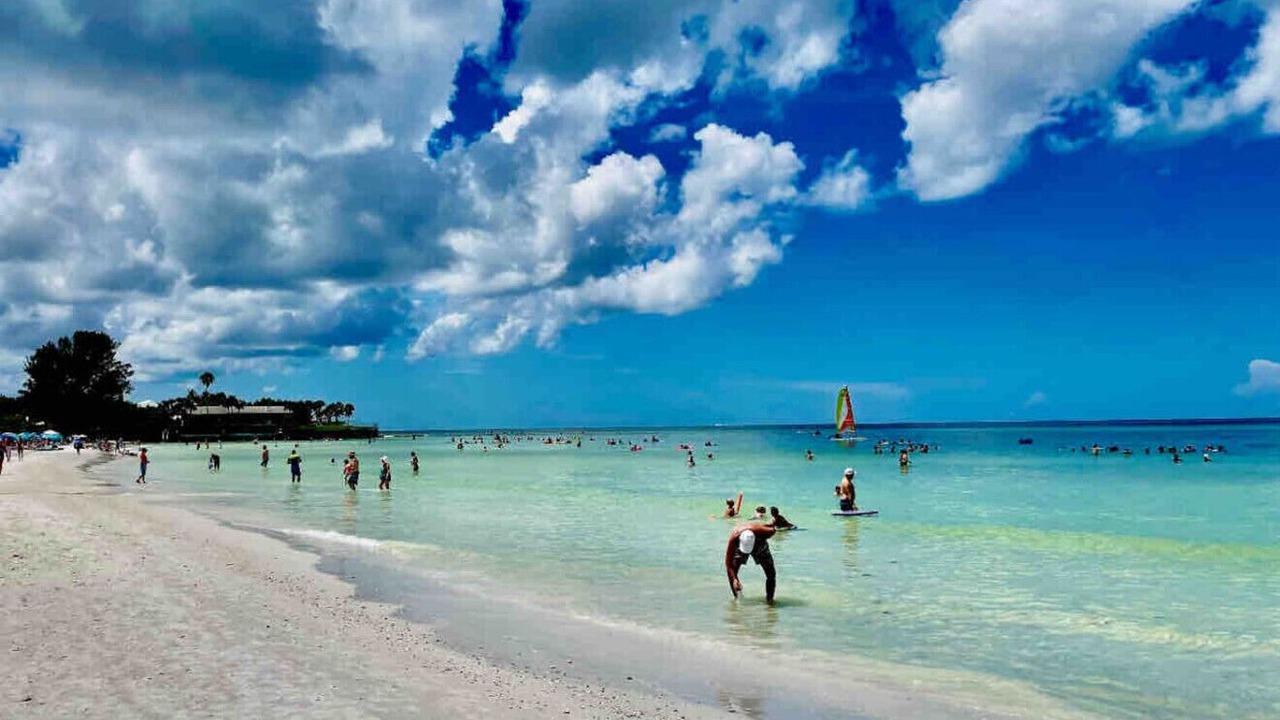 Photo of Others in Siesta Key
