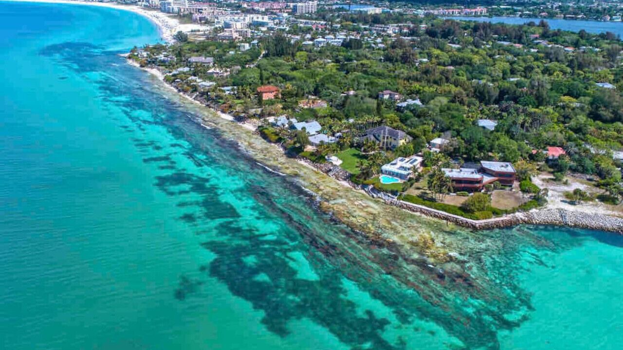 Photo of Outdoor in Siesta Key