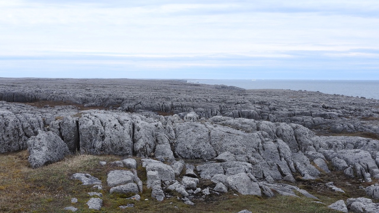 Photo of Others in Cook's Harbour