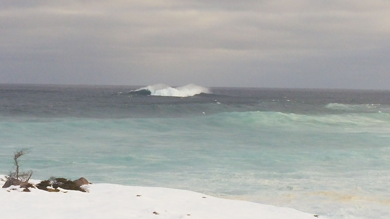 Photo of Others in Cook's Harbour
