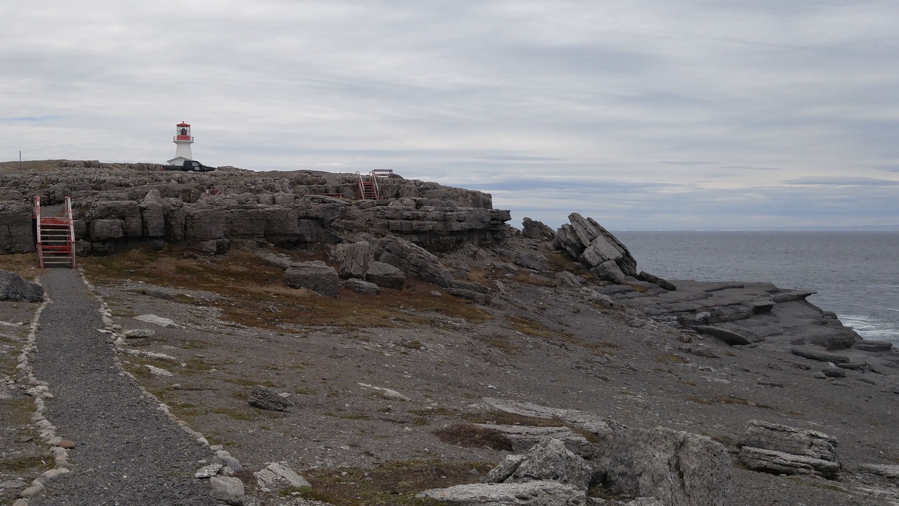 Photo of Others in Cook's Harbour