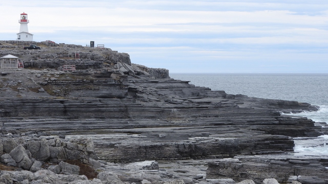 Photo of Others in Cook's Harbour