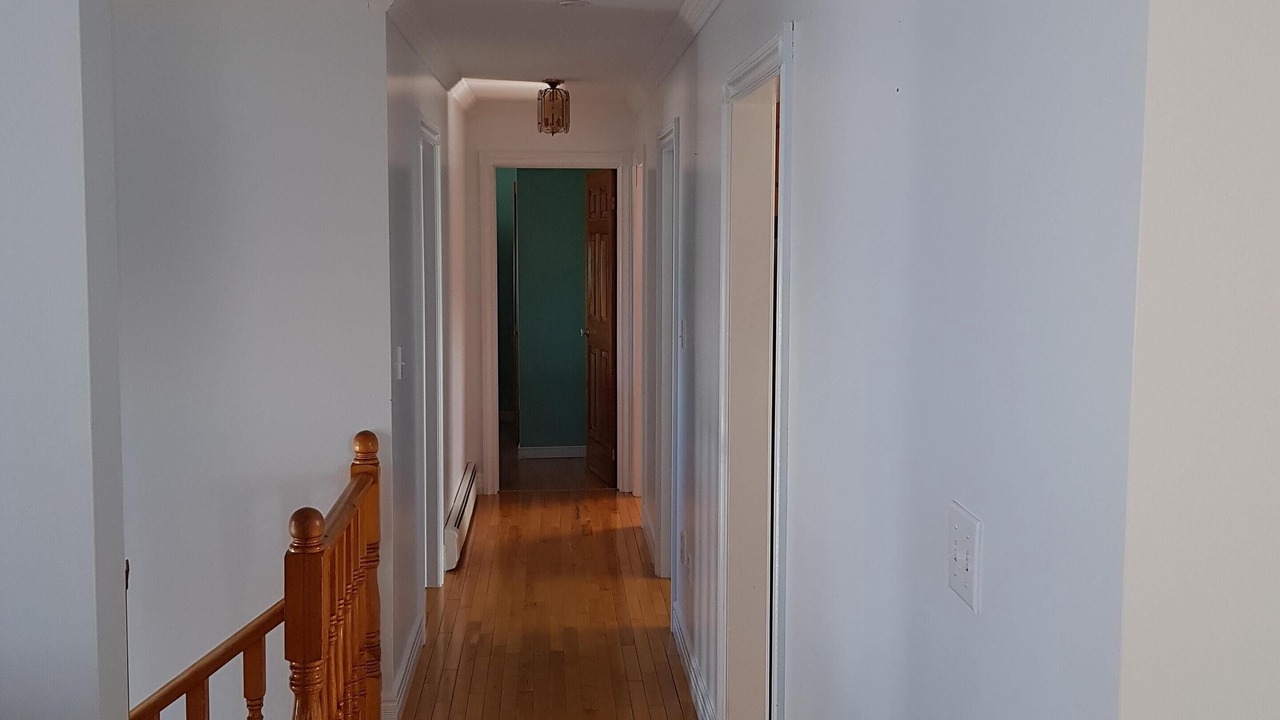 Photo of Others in Cook's Harbour