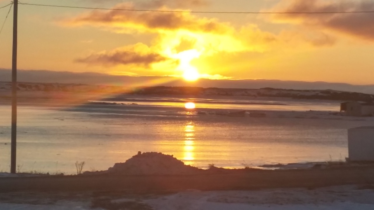 Photo of Others in Cook's Harbour