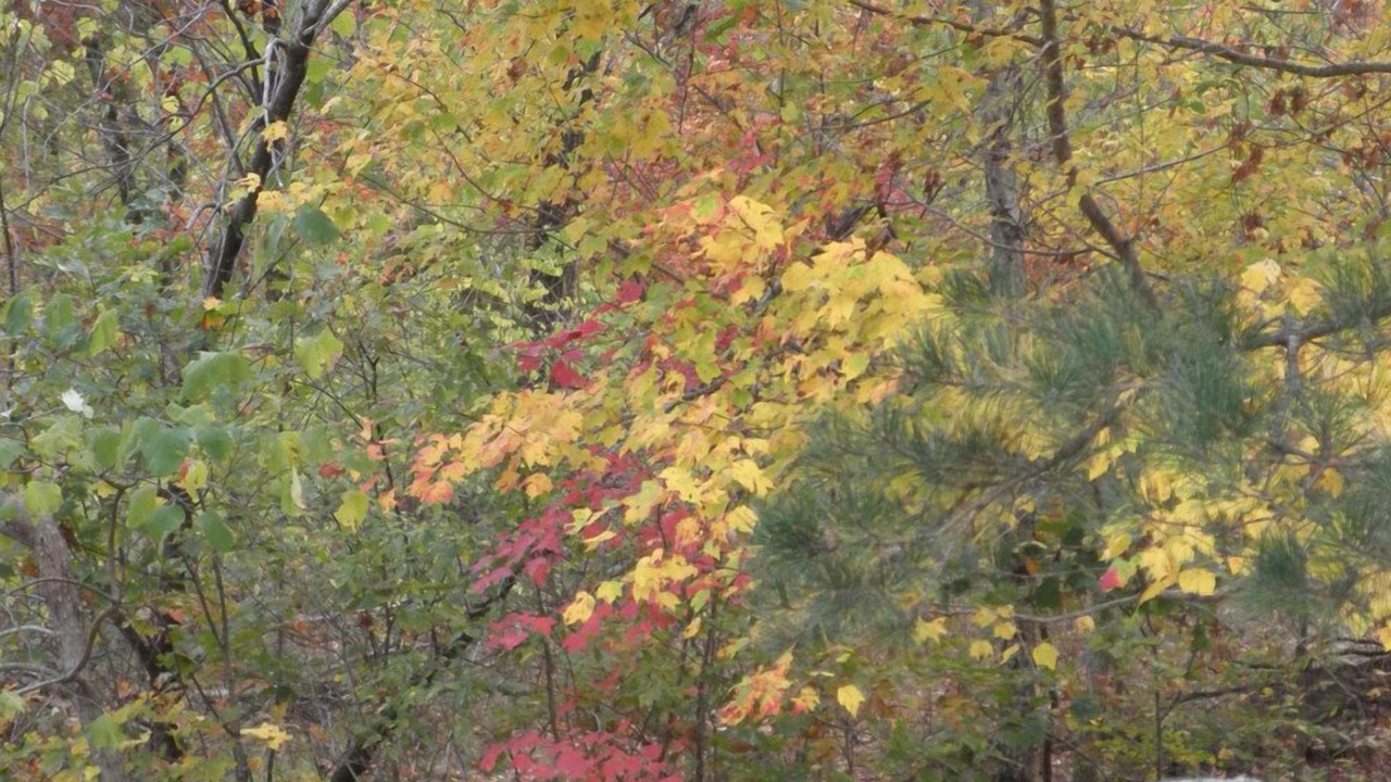 Photo of Others in Mt. Sherman