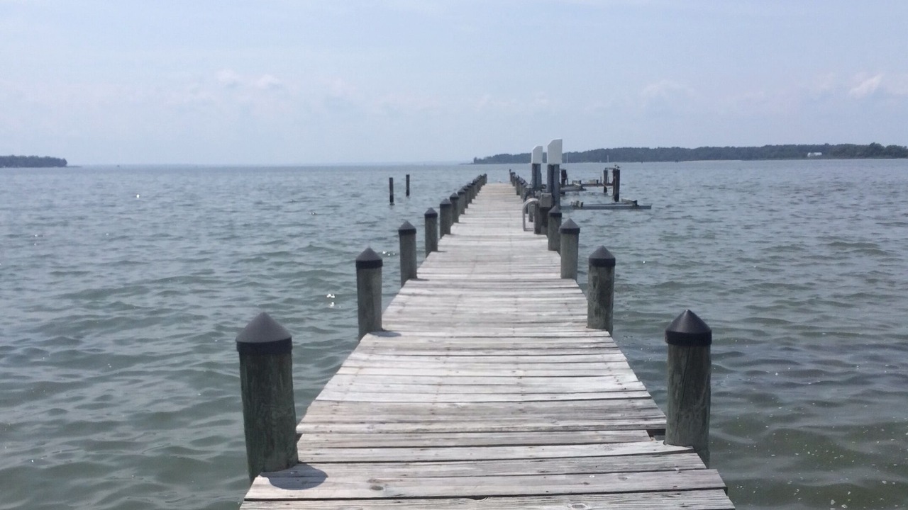 Photo of Others in Leonardtown