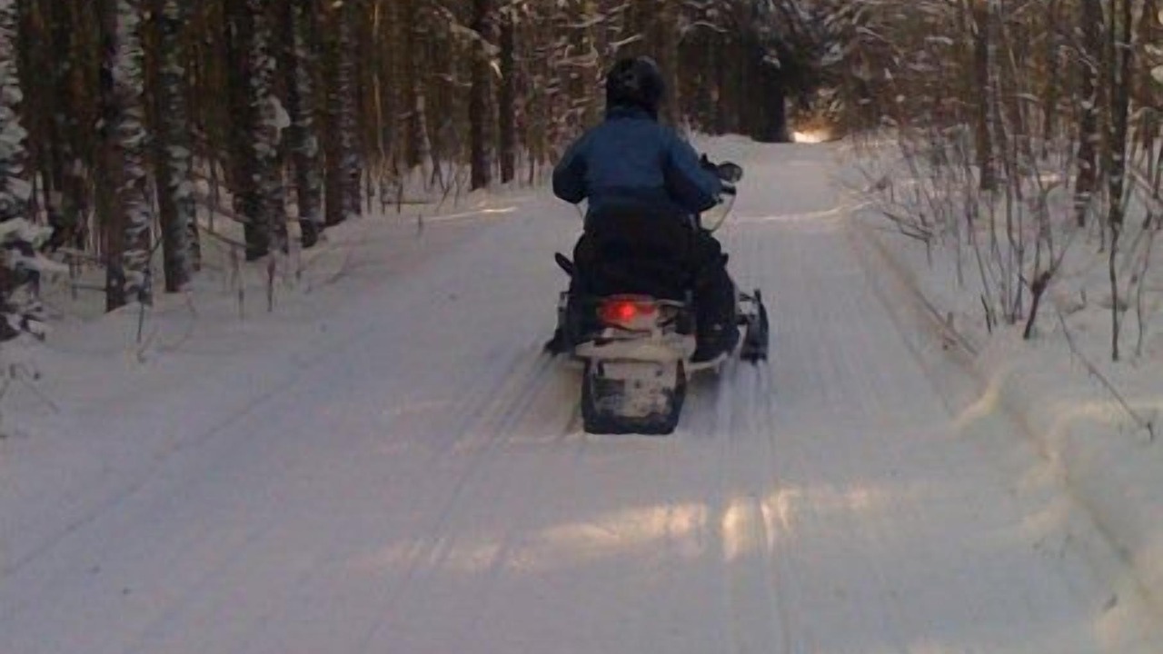 Photo of Others in Bryant